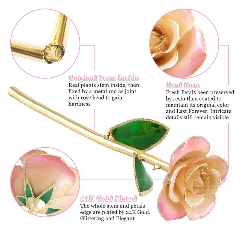 Ejoyous 24K Gold Rose, Forever Preserved Real Rose Lover Mom Wife Daughter Girl Friend, Unique Present on Mother's Day, Wedding Anniversary, Birthday, Proposal, Reward (White - Image 2